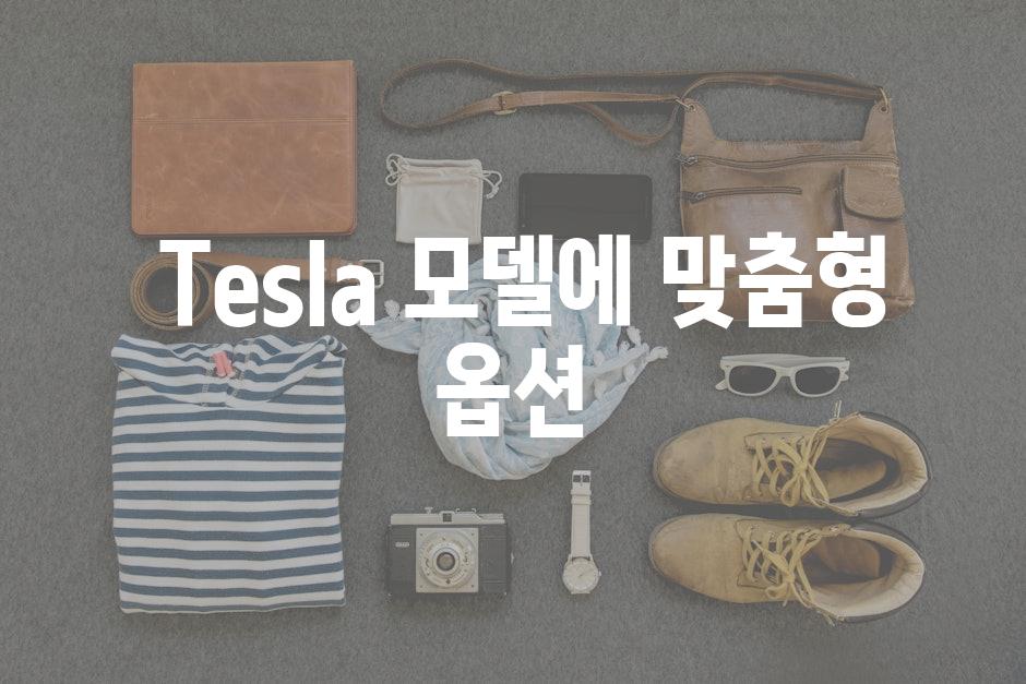  Tesla 모델에 맞춤형 옵션