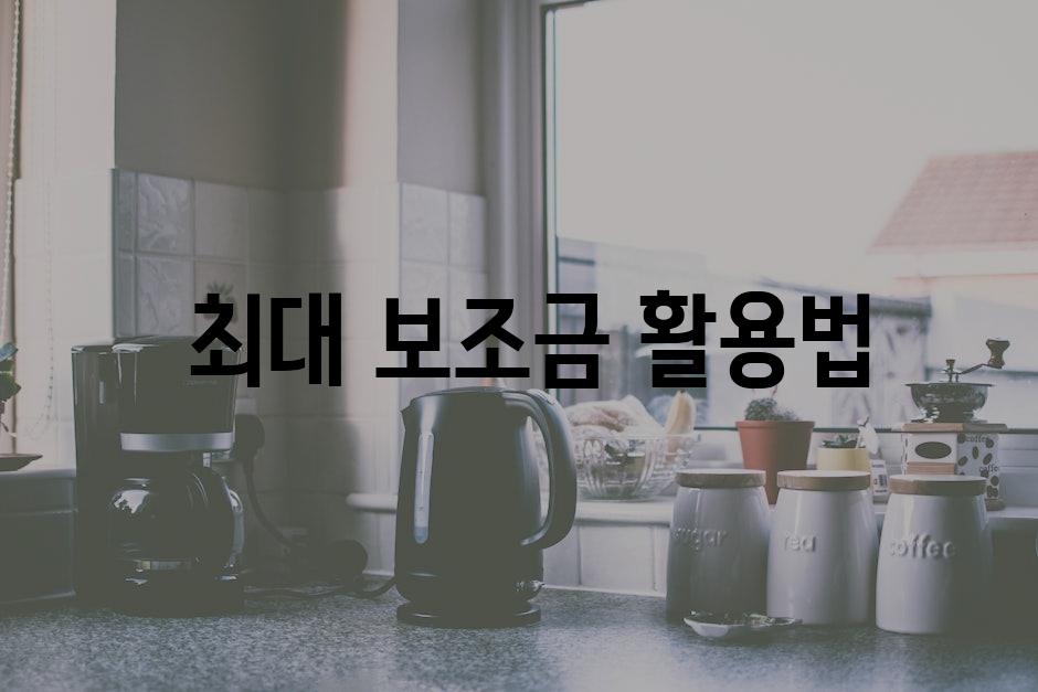  최대 보조금 활용법