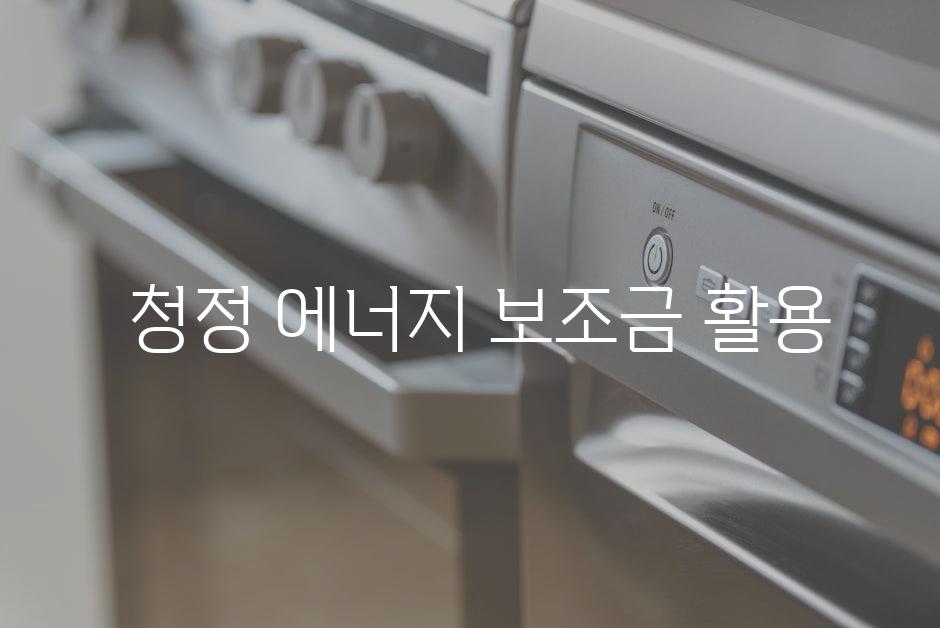  청정 에너지 보조금 활용