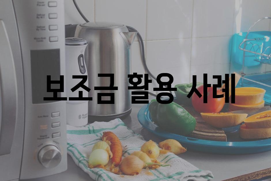  보조금 활용 사례