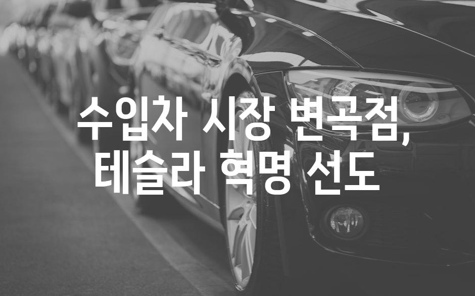  수입차 시장 변곡점, 테슬라 혁명 선도