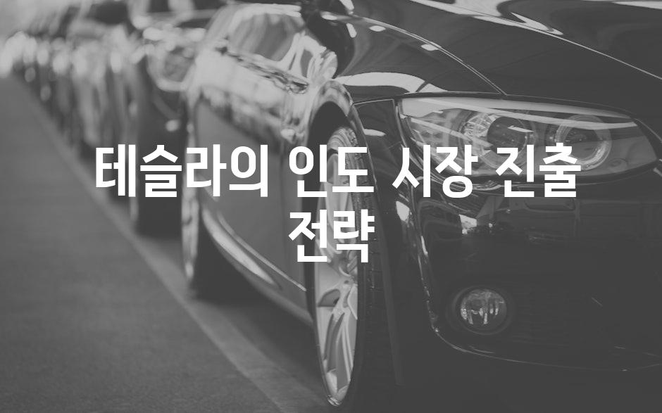  테슬라의 인도 시장 진출 전략