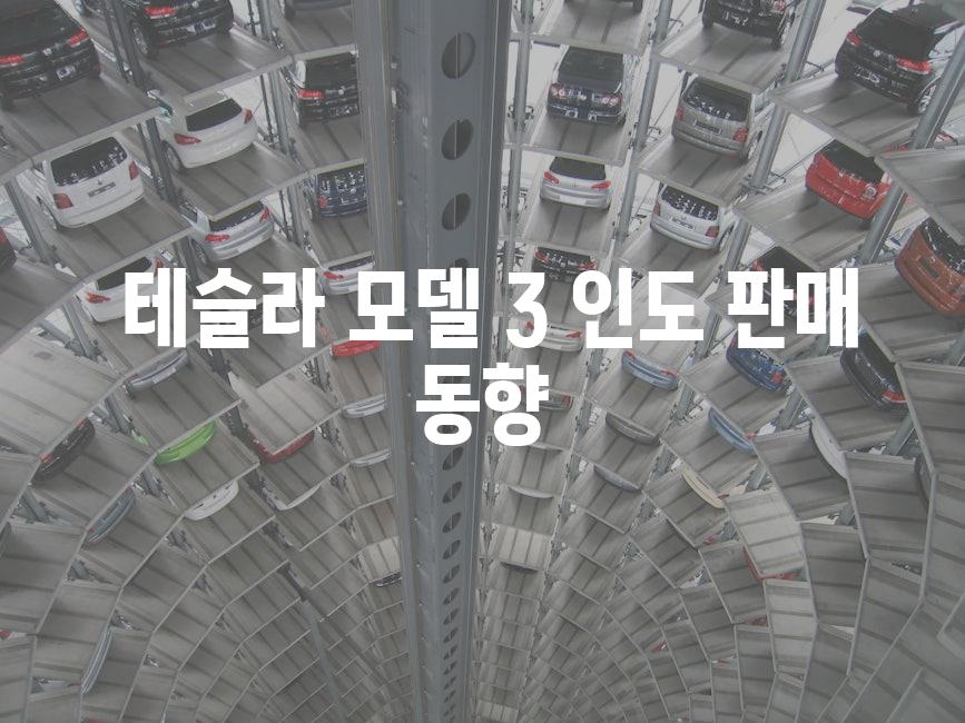  테슬라 모델 3 인도 판매 동향