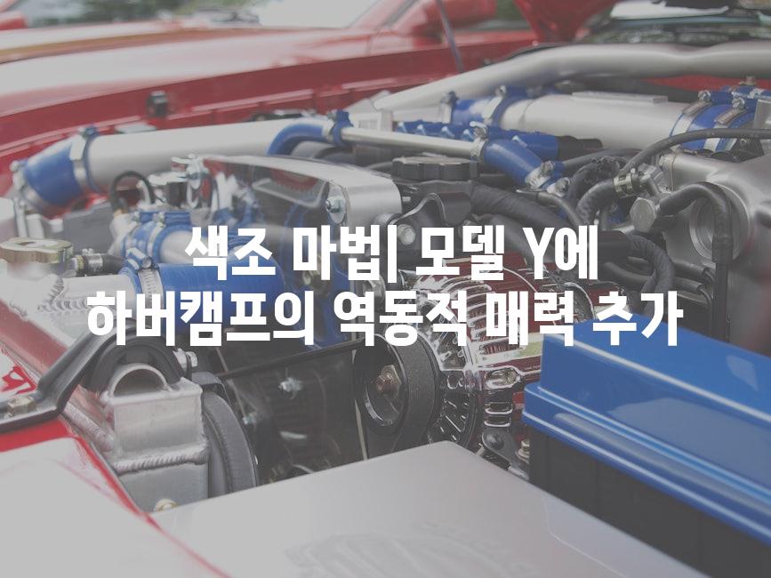  색조 마법| 모델 Y에 하버캠프의 역동적 매력 추가