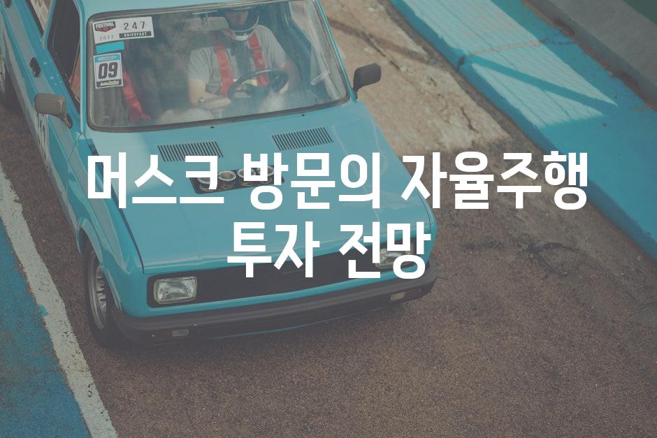  머스크 방문의 자율주행 투자 전망