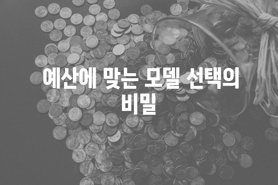  예산에 맞는 모델 선택의 비밀