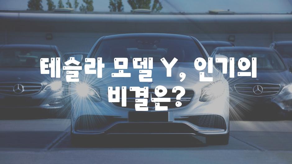  테슬라 모델 Y, 인기의 비결은?