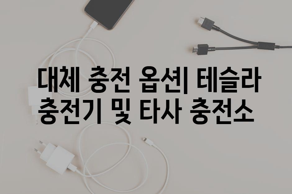 이미지_설명