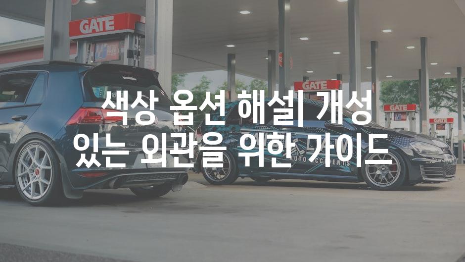  색상 옵션 해설| 개성 있는 외관을 위한 가이드