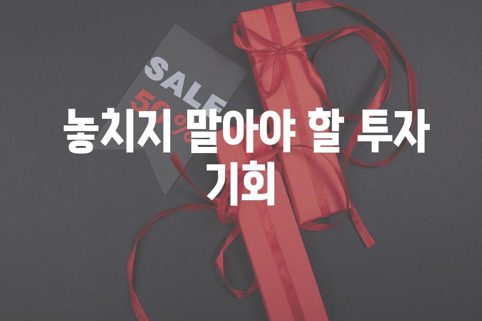  놓치지 말아야 할 투자 기회