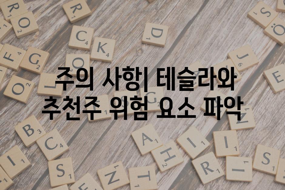  주의 사항| 테슬라와 추천주 위험 요소 파악