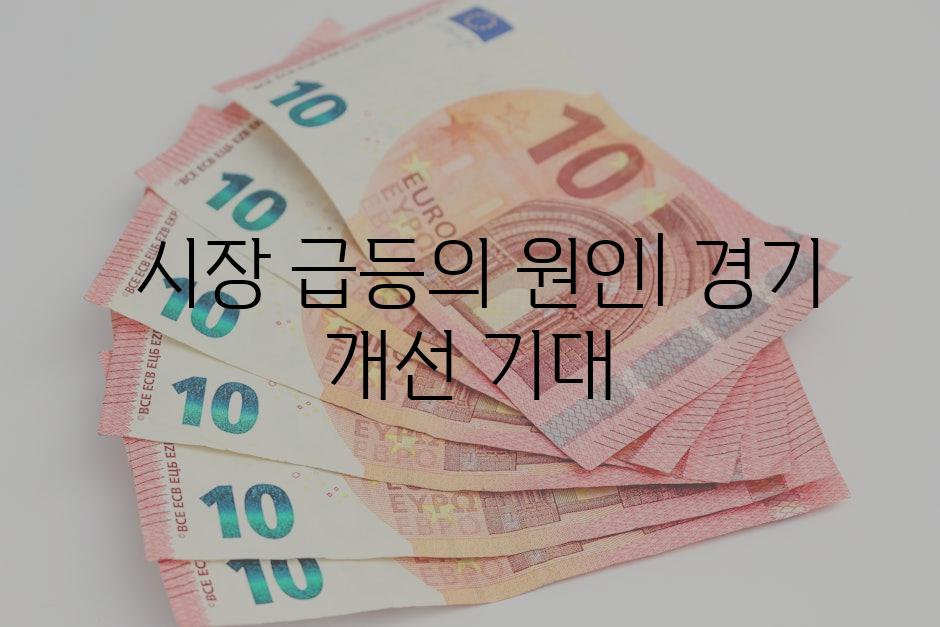  시장 급등의 원인| 경기 개선 기대