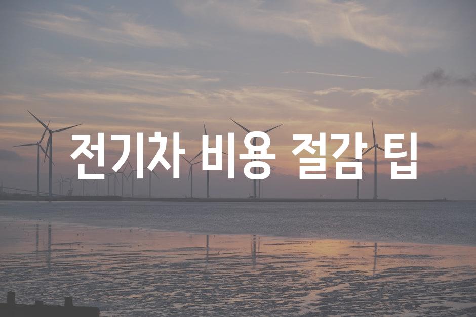  전기차 비용 절감 팁