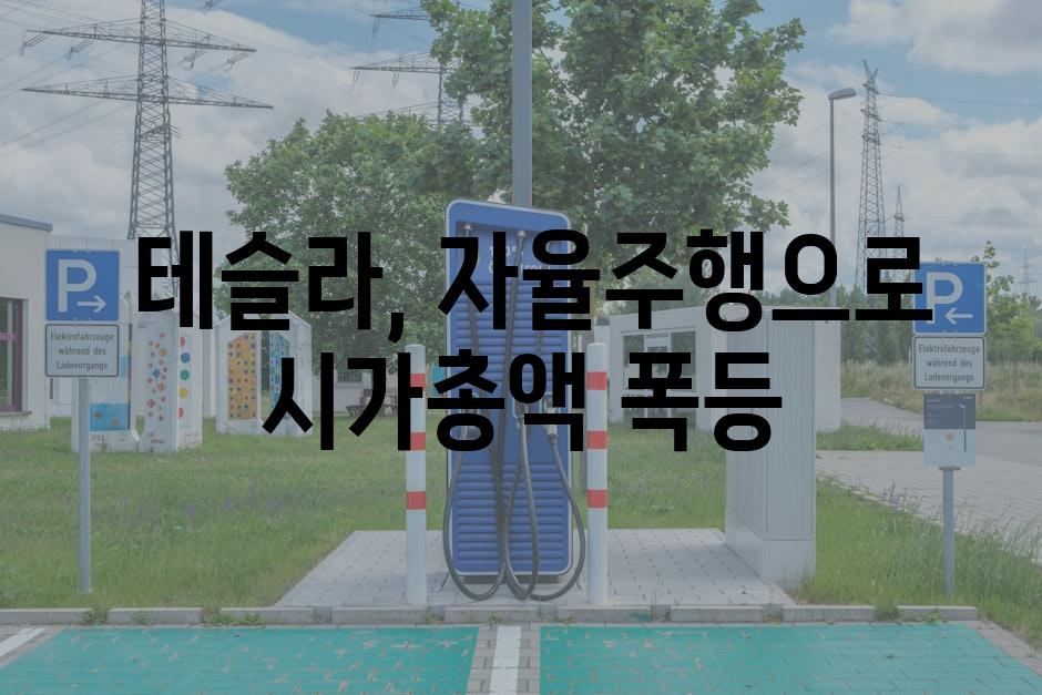  테슬라, 자율주행으로 시가총액 폭등