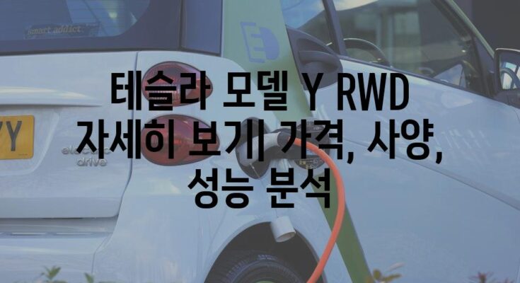 테슬라 모델 Y RWD 자세히 보기| 가격, 사양, 성능 분석