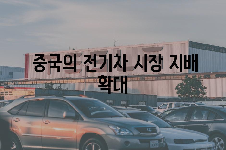  중국의 전기차 시장 지배 확대