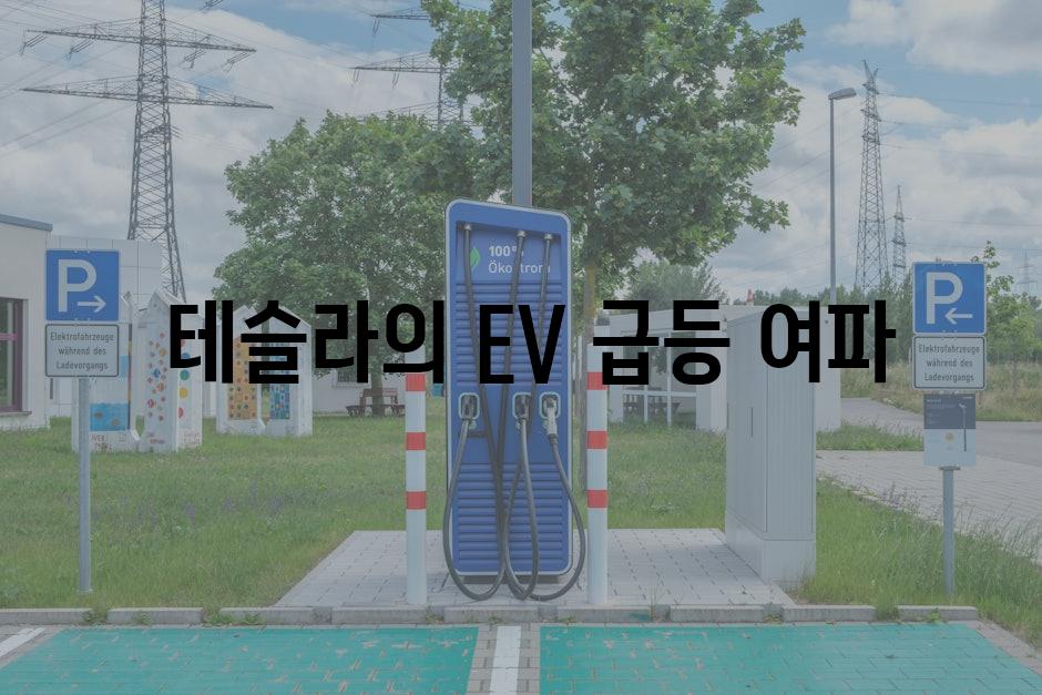  테슬라의 EV 급등 여파