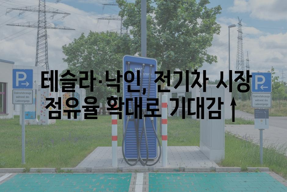  테슬라·낙인, 전기차 시장 점유율 확대로 기대감↑