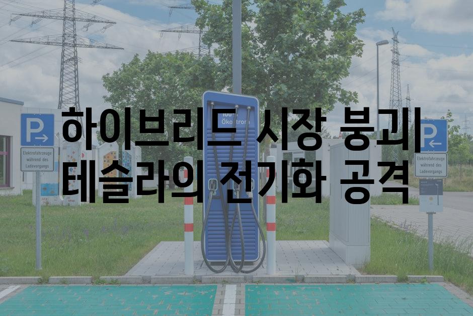  하이브리드 시장 붕괴| 테슬라의 전기화 공격