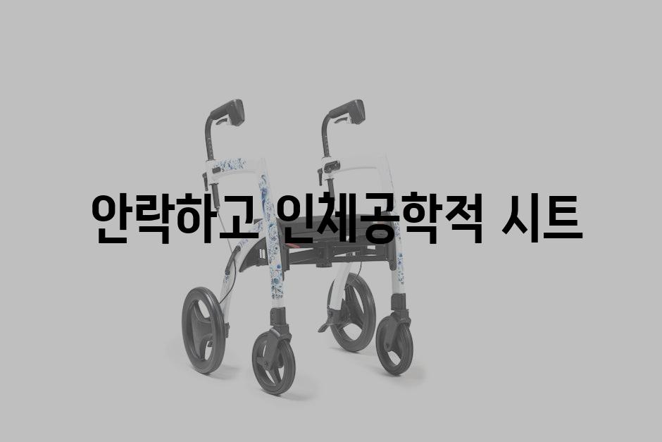  안락하고 인체공학적 시트