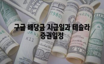 구글 배당금 지급일과 테슬라 증권일정