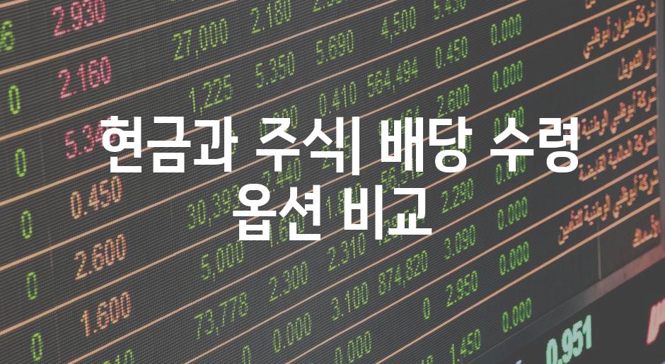  현금과 주식| 배당 수령 옵션 비교