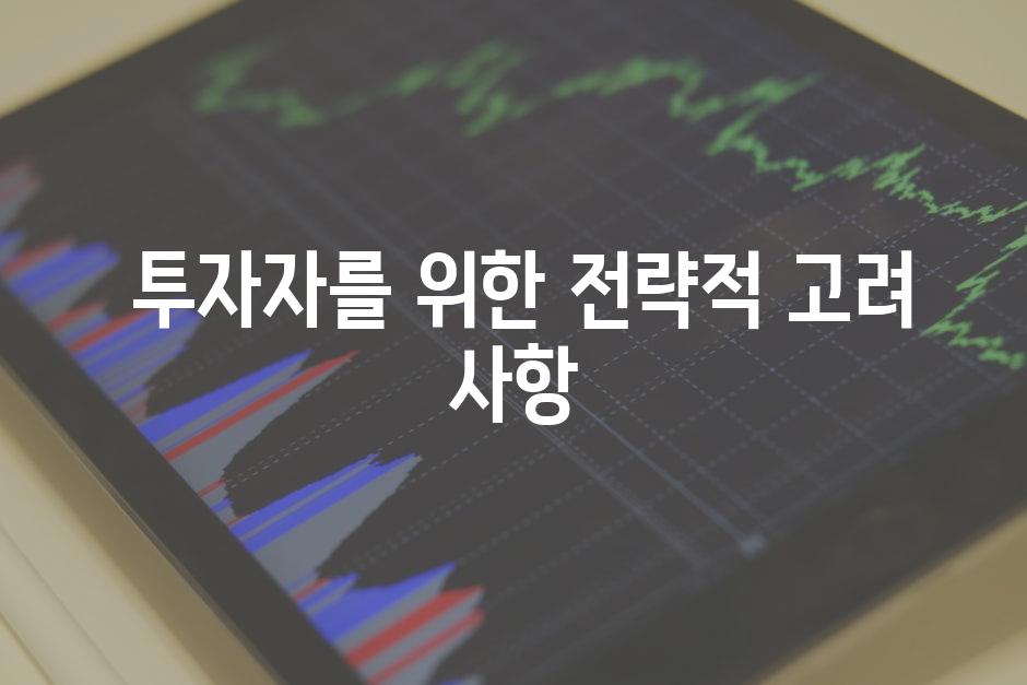  투자자를 위한 전략적 고려 사항