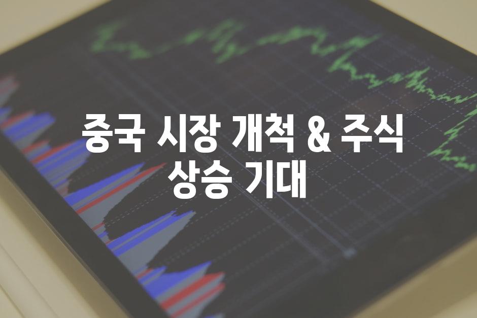  중국 시장 개척 & 주식 상승 기대