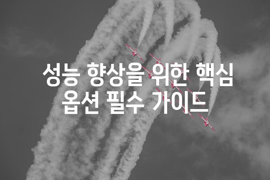  성능 향상을 위한 핵심 옵션 필수 가이드