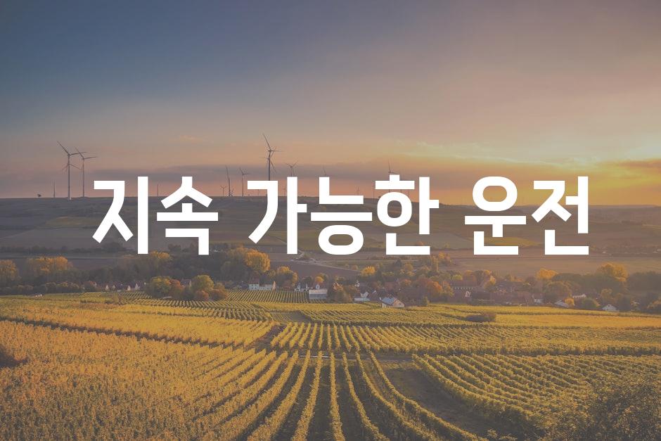 지속 가능한 운전