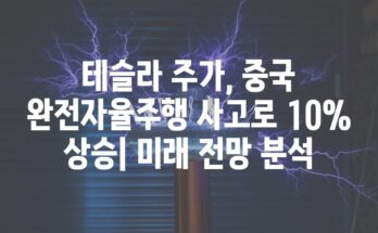 테슬라 주가, 중국 완전자율주행 사고로 10% 상승| 미래 전망 분석