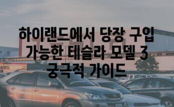 하이랜드에서 당장 구입 가능한 테슬라 모델 3 궁극적 가이드