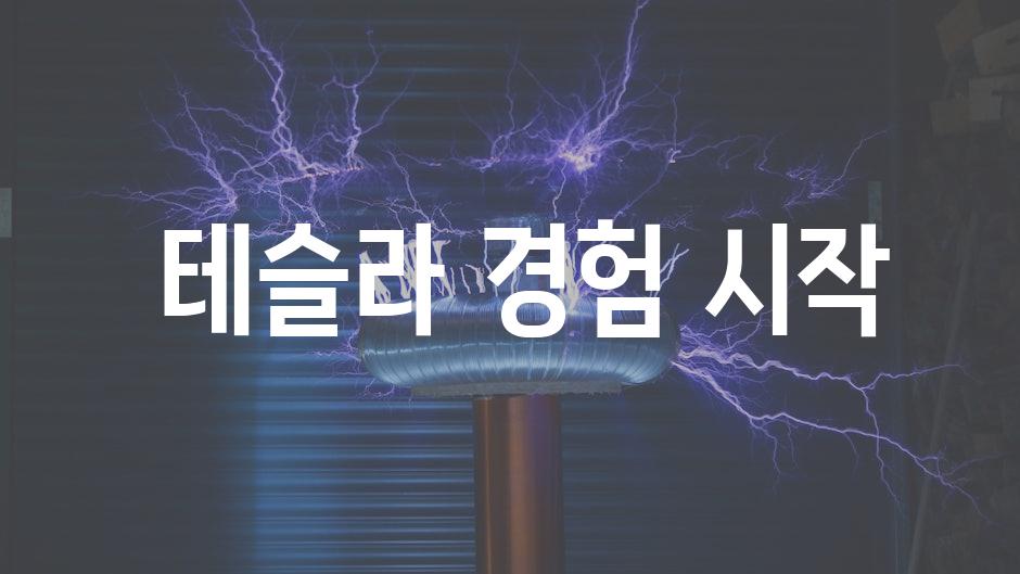  테슬라 경험 시작