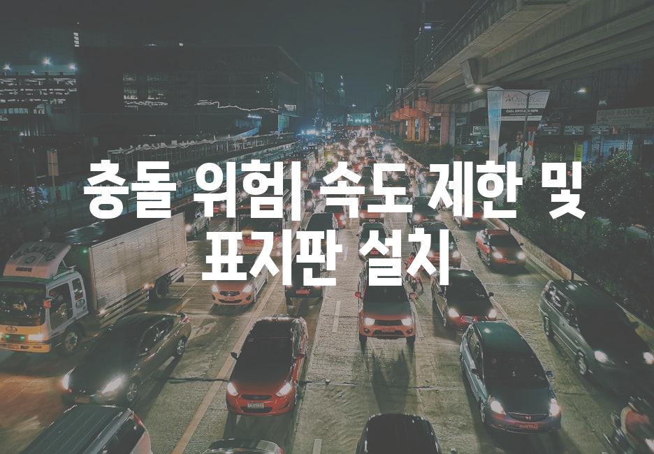  충돌 위험| 속도 제한 및 표지판 설치