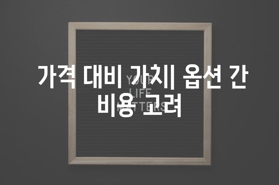  가격 대비 가치| 옵션 간 비용 고려