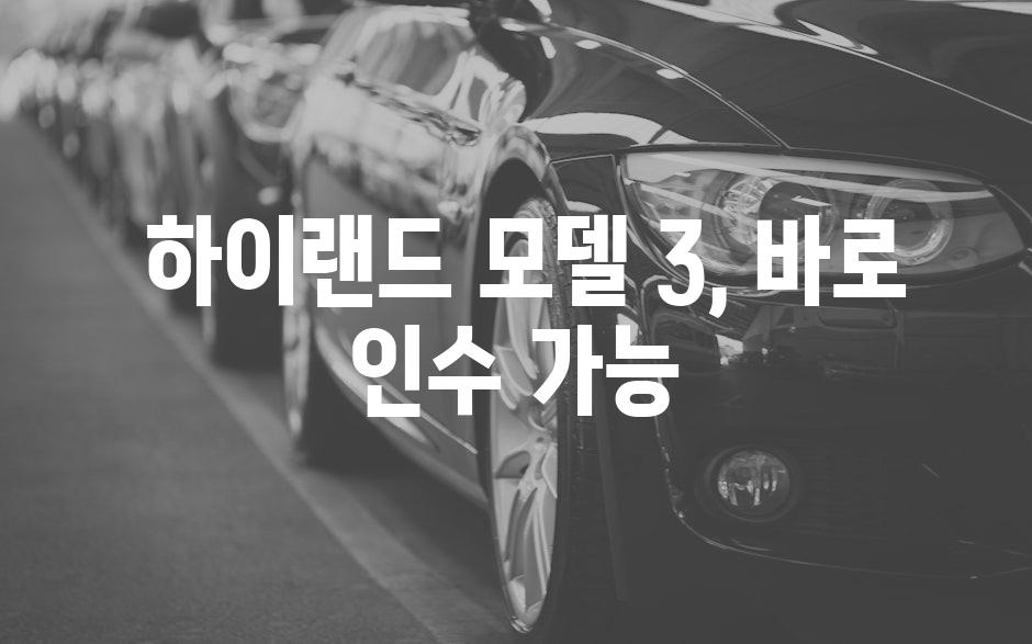  하이랜드 모델 3, 바로 인수 가능