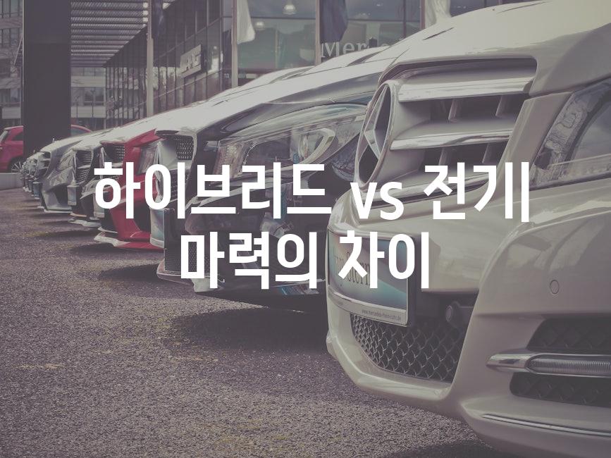  하이브리드 vs 전기| 마력의 차이