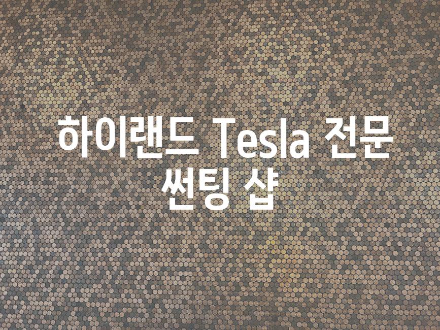  하이랜드 Tesla 전문 썬팅 샵