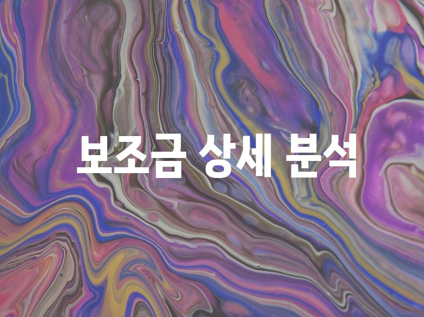  보조금 상세 분석