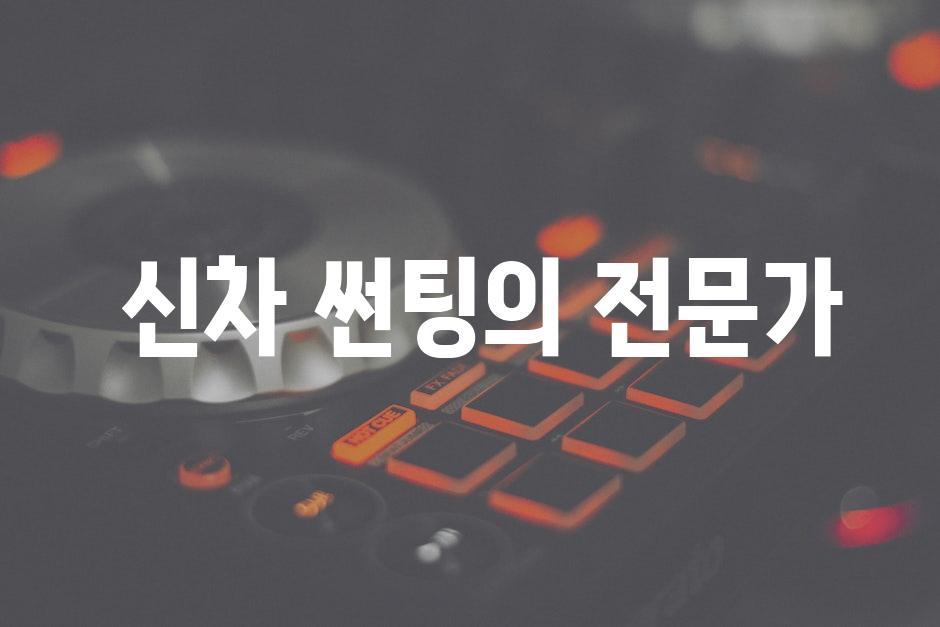  신차 썬팅의 전문가