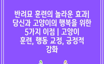 반려묘 훈련의 놀라운 효과| 당신과 고양이의 행복을 위한 5가지 이점 | 고양이 훈련, 행동 교정, 긍정적 강화