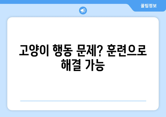 반려묘 훈련의 놀라운 효과| 당신과 고양이의 행복을 위한 5가지 이점 | 고양이 훈련, 행동 교정, 긍정적 강화