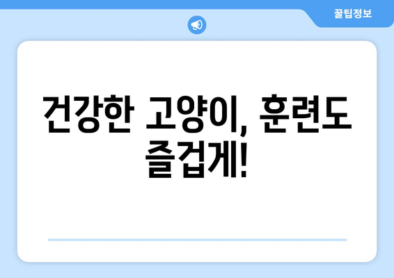 고양이 훈련의 비밀| 영양으로 동기 부여를 높이고 건강까지 지키는 방법 | 고양이 훈련, 영양, 건강, 동기 부여