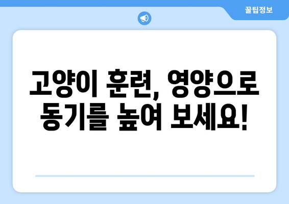 고양이 훈련의 비밀| 영양으로 동기 부여를 높이고 건강까지 지키는 방법 | 고양이 훈련, 영양, 건강, 동기 부여