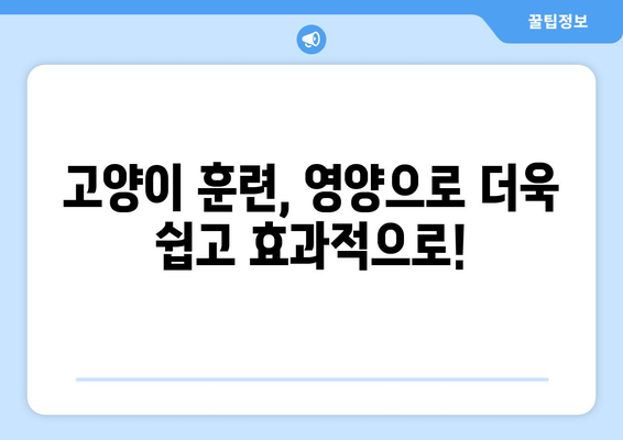 고양이 훈련의 비밀| 영양으로 동기 부여를 높이고 건강까지 지키는 방법 | 고양이 훈련, 영양, 건강, 동기 부여