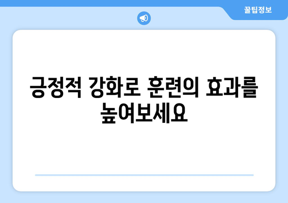 반려묘 훈련의 놀라운 효과| 당신과 고양이의 행복을 위한 5가지 이점 | 고양이 훈련, 행동 교정, 긍정적 강화