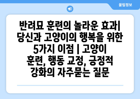 반려묘 훈련의 놀라운 효과| 당신과 고양이의 행복을 위한 5가지 이점 | 고양이 훈련, 행동 교정, 긍정적 강화