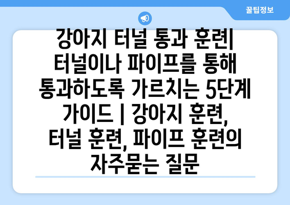 강아지 터널 통과 훈련| 터널이나 파이프를 통해 통과하도록 가르치는 5단계 가이드 | 강아지 훈련, 터널 훈련, 파이프 훈련