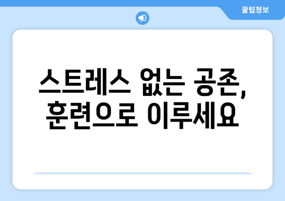 반려묘 훈련의 놀라운 효과| 당신과 고양이의 행복을 위한 5가지 이점 | 고양이 훈련, 행동 교정, 긍정적 강화