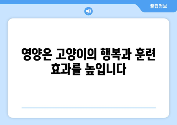 고양이 훈련의 비밀| 영양으로 동기 부여를 높이고 건강까지 지키는 방법 | 고양이 훈련, 영양, 건강, 동기 부여